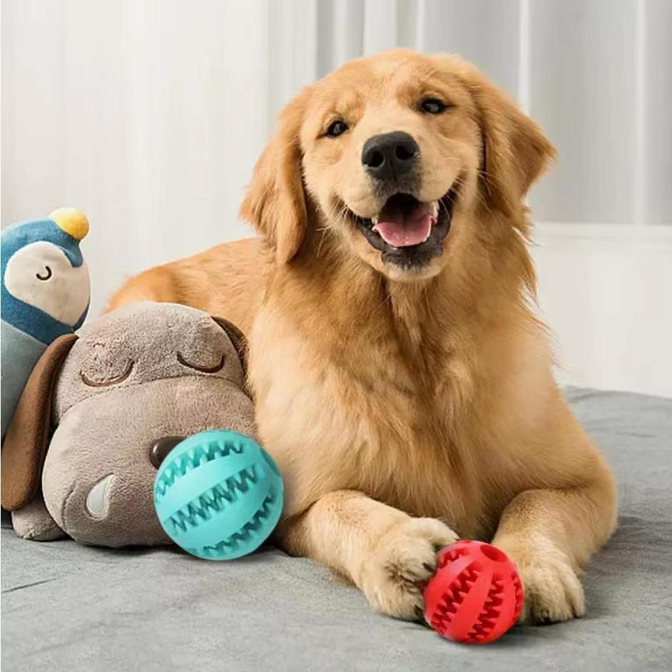Interactive Treat Ball
