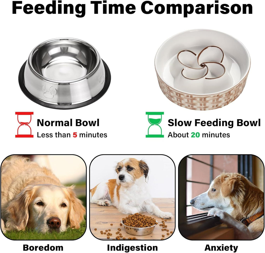 Ceramic Slow Feeder Bowl
