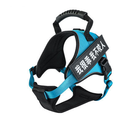 Pet harness