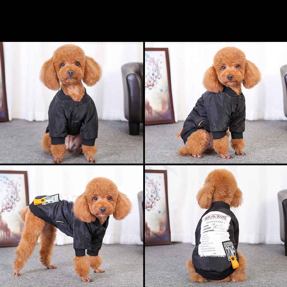 Printed cotton shirt