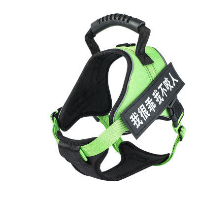 Pet harness