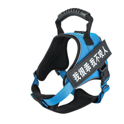 Pet harness