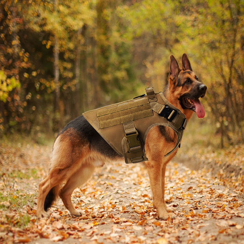 Outdoor tactical dog vest