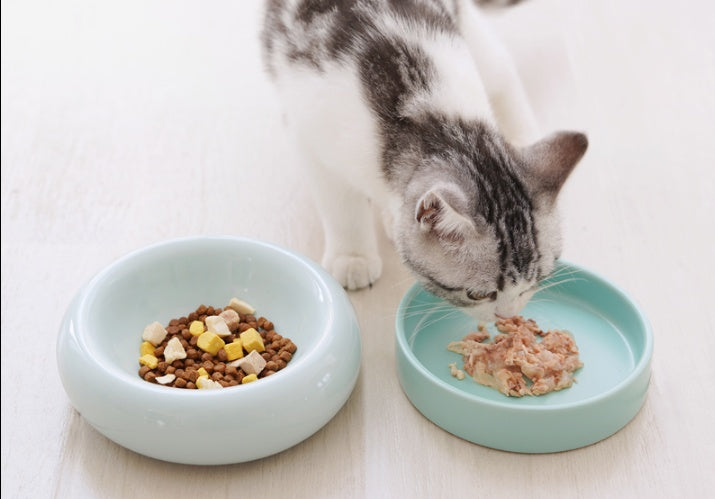 Mochi Ceramic Short-leg Cat Bowl