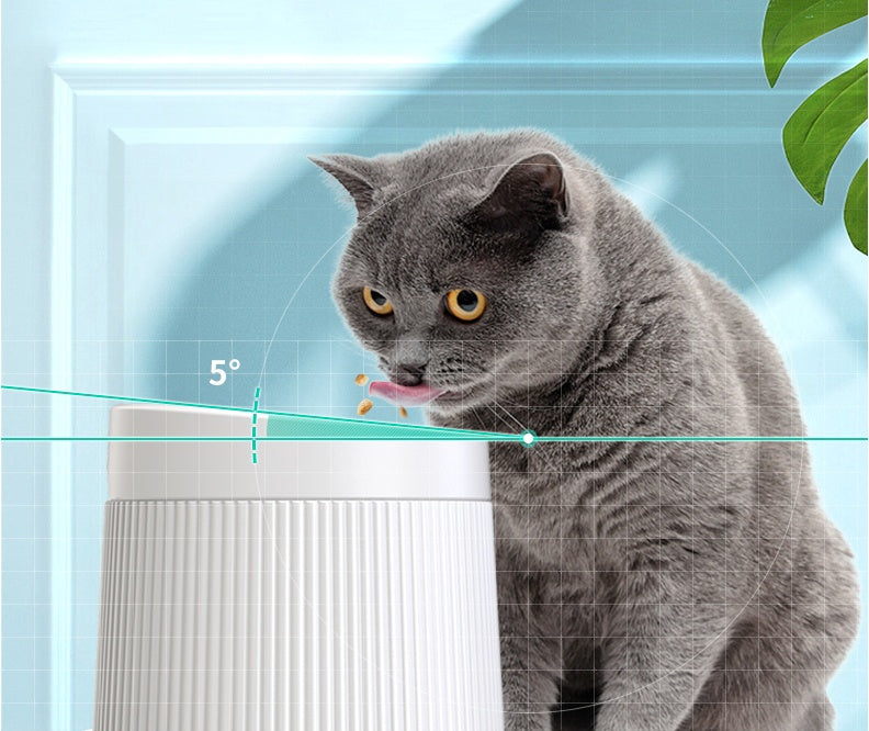 Geometric cat bowl