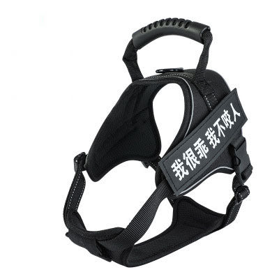 Pet harness
