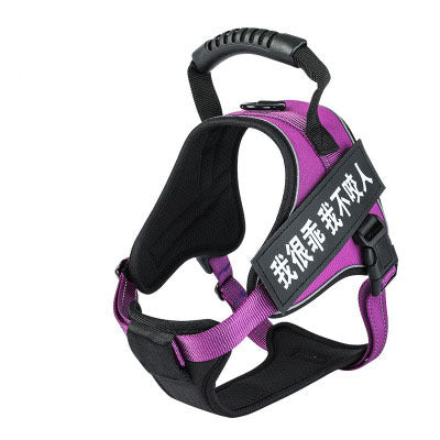 Pet harness