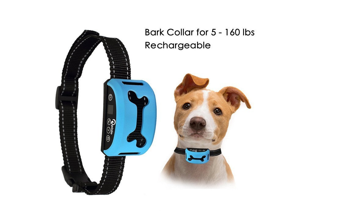 Smart Induction Rechargeable Collar