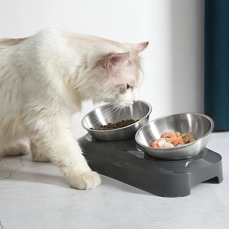 Stainless Steel Pet Bowl with Stand
