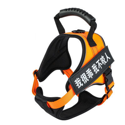 Pet harness