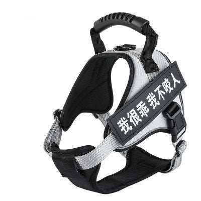 Pet harness
