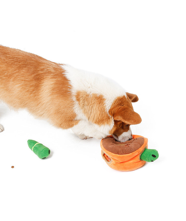 Bite-Resistant Molar Toy