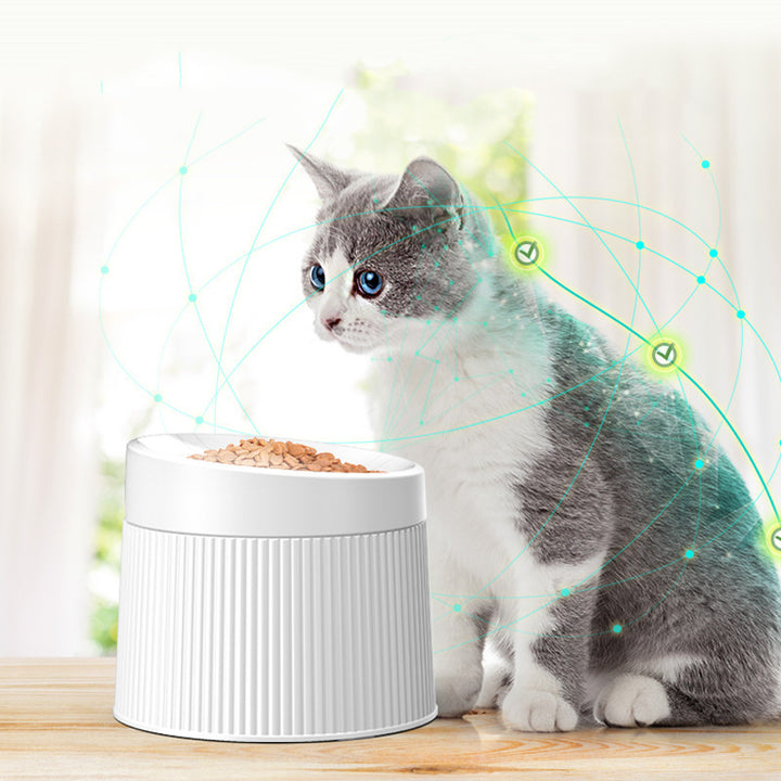 Geometric cat bowl