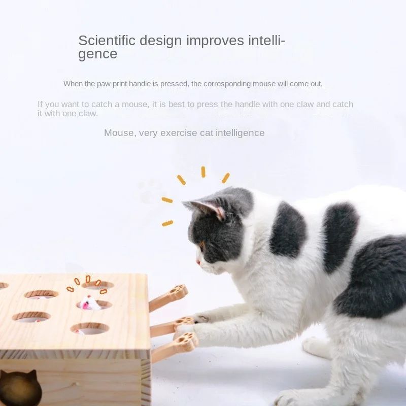 Cat Scratcher Toy