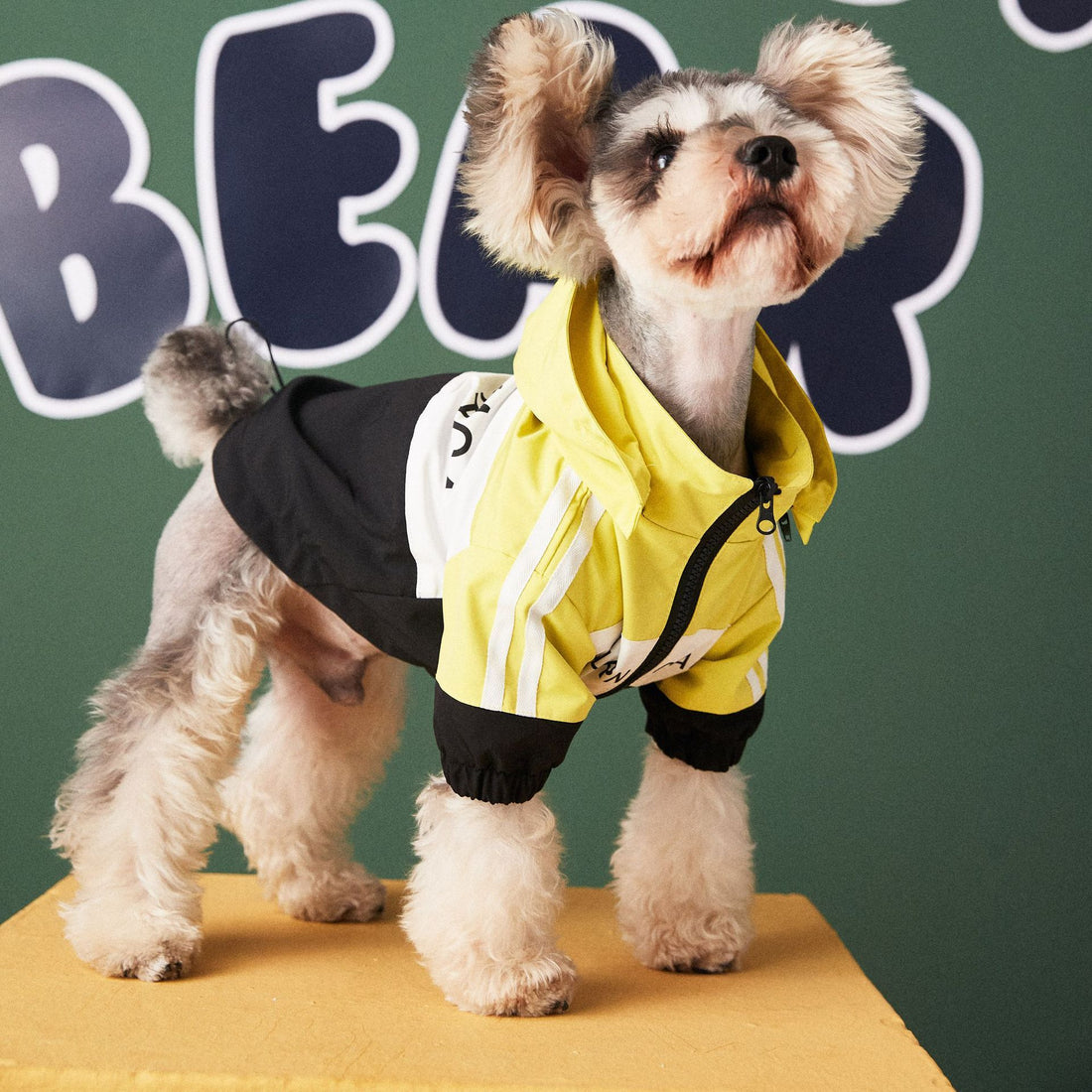 Dog Waterproof Jacket