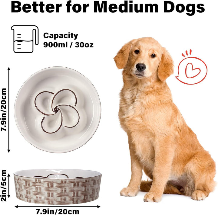 Ceramic Slow Feeder Bowl