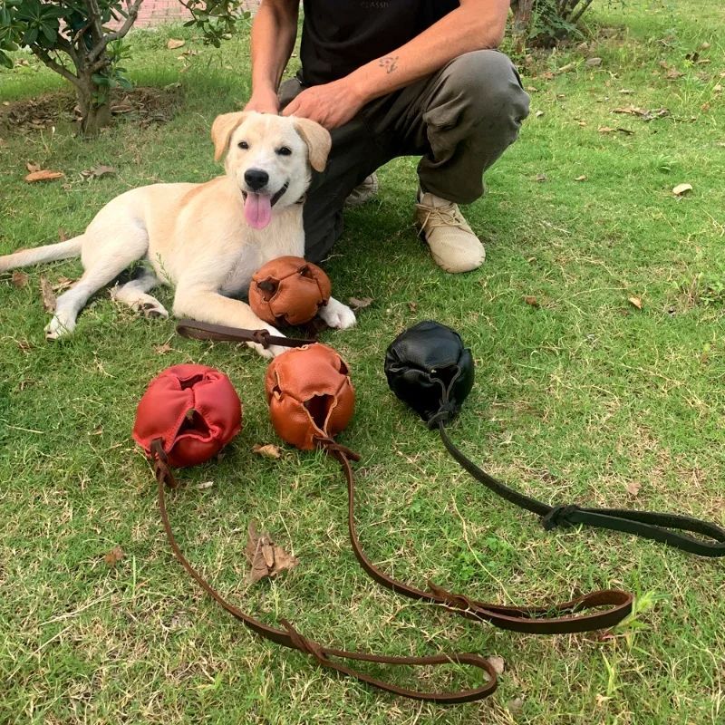 Leather Dog Training Ball with Handle