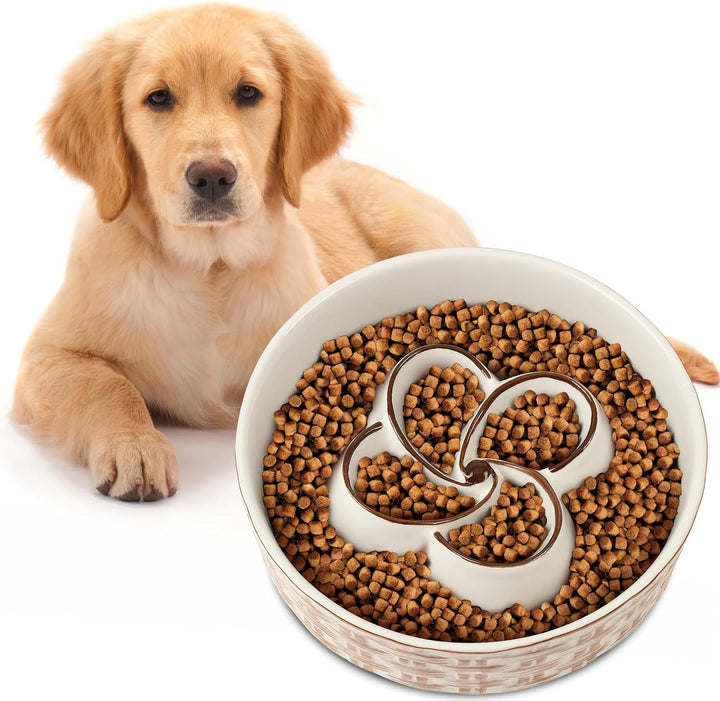 Ceramic Slow Feeder Bowl