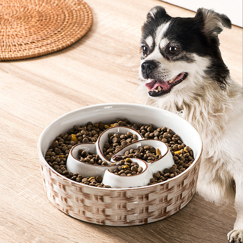 Ceramic Slow Feeder Bowl