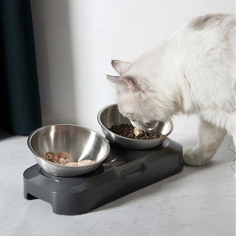 Stainless Steel Pet Bowl with Stand
