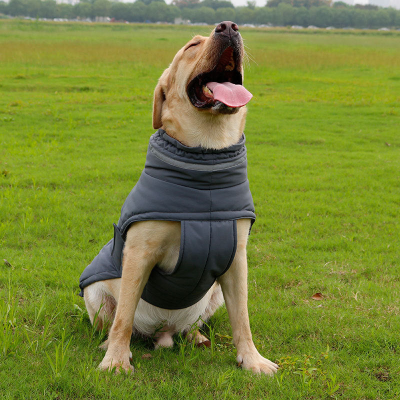 Cold & Rain-Proof Dog Coat