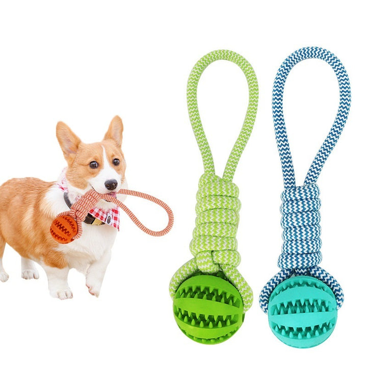 Interactive Treat Ball