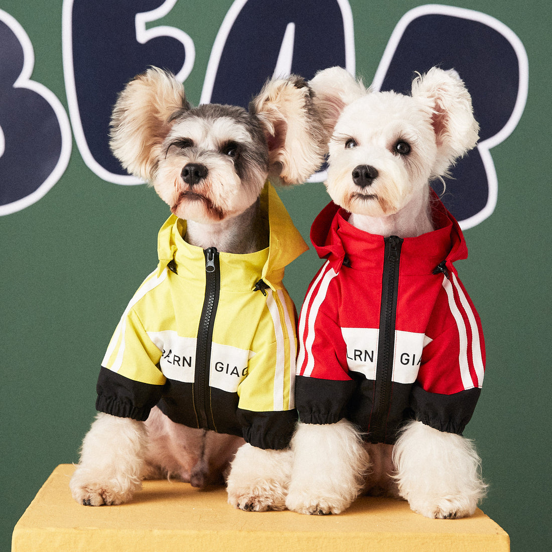Dog Waterproof Jacket